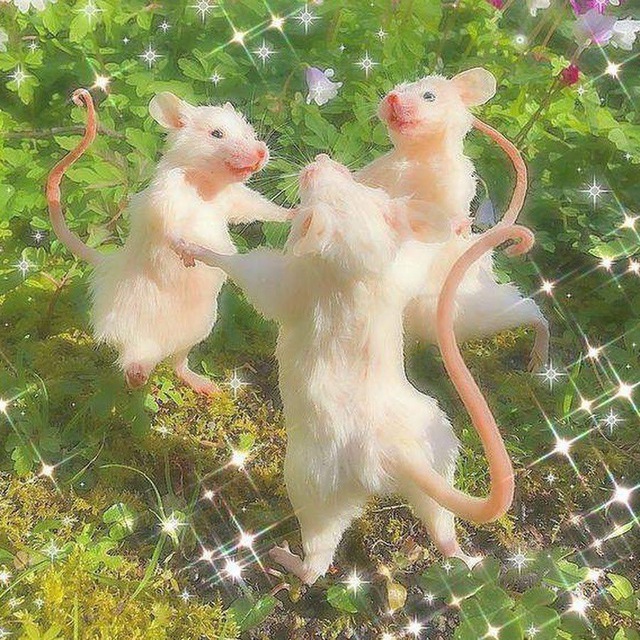 Geometry and the City Lab group